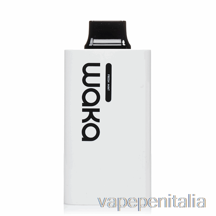 Vape Italia Waka Sopro Pa10000 Menta Fresca Usa E Getta